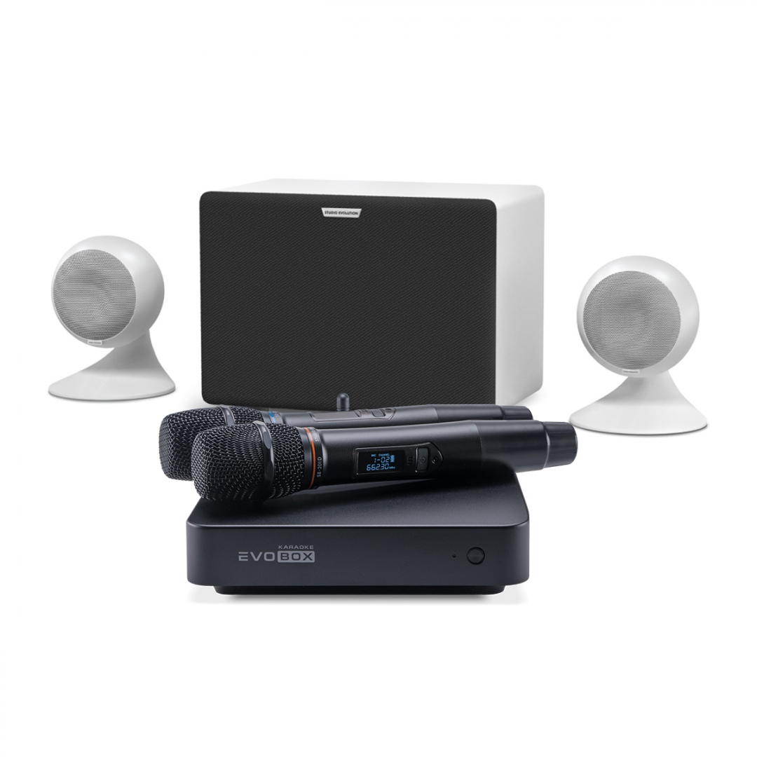 караоке-комплект EVOBOX Classic + EvoSound Sphere 2.1 в Балахне
