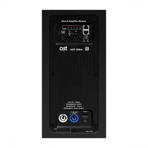 Активная акустическая система AST-310A в Балахне