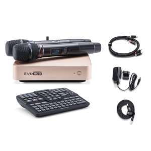 EVOBOX Classic караоке-система для дома в Балахне